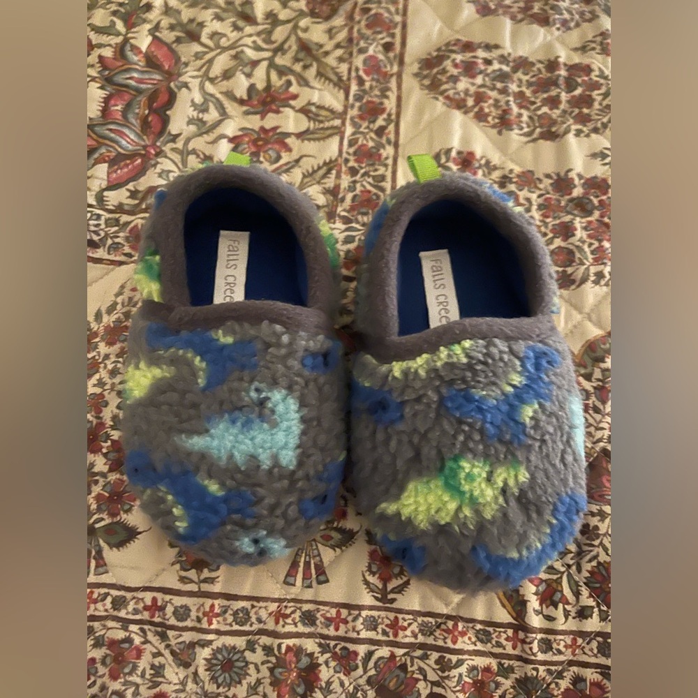Falls Creek dinosaur slippers